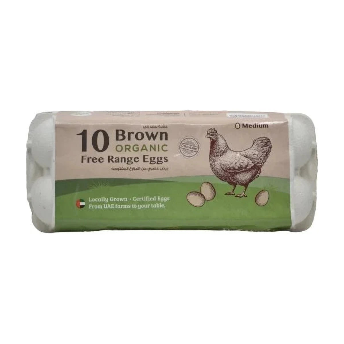 Organic Free Range Eggs 10 Pcs | Welaza