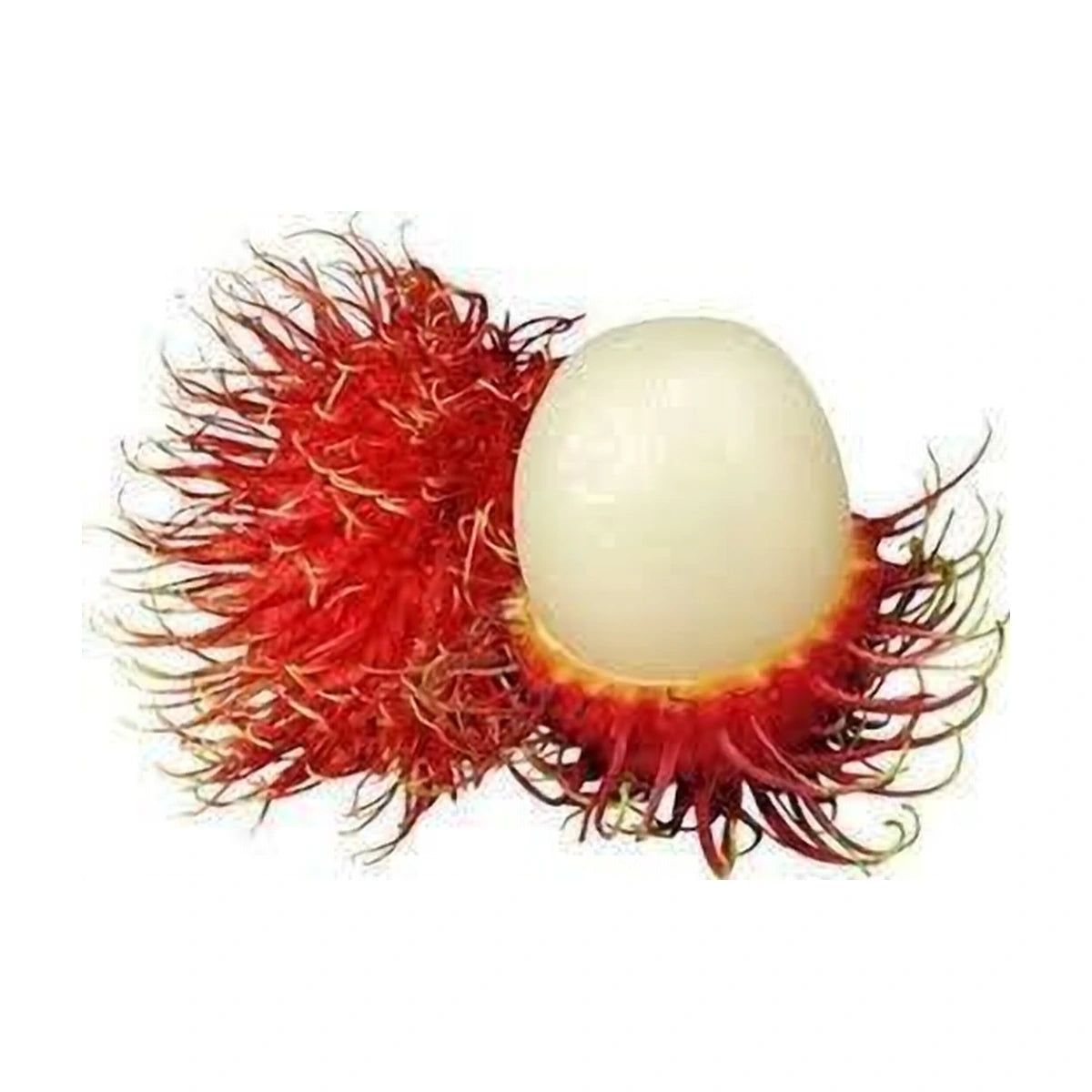 Rambuttan 500g | Welaza