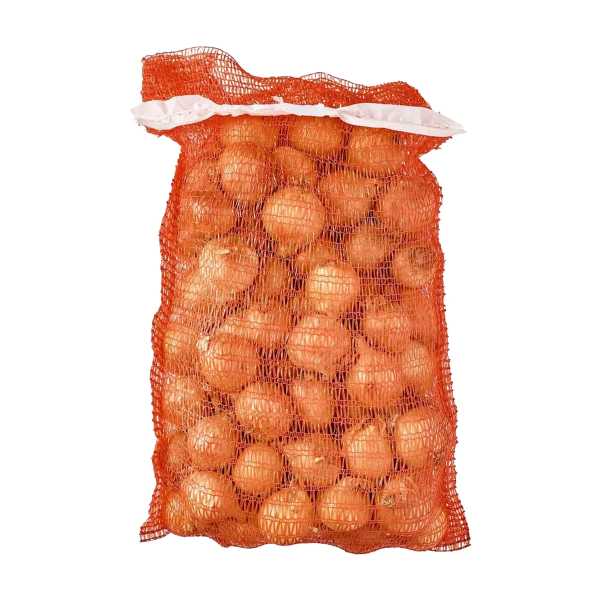 Brown Onions 20 kg Bag | Welaza