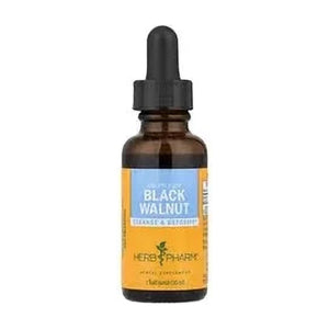 Black Walnut Liquid Extract | Welaza