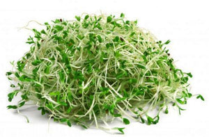 Alfalfa Sprouts 125g