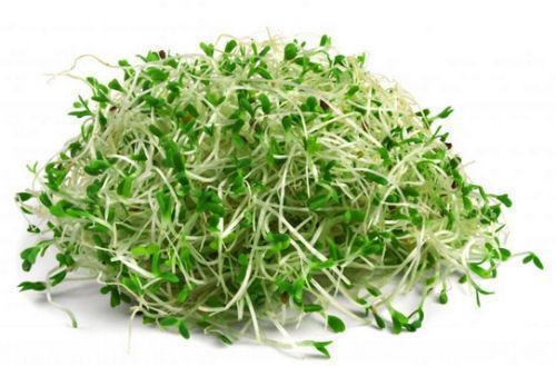 Alfalfa Sprouts 125g