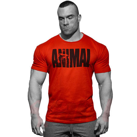 Animal Nutrition Iconic T-shirt Red Activewear