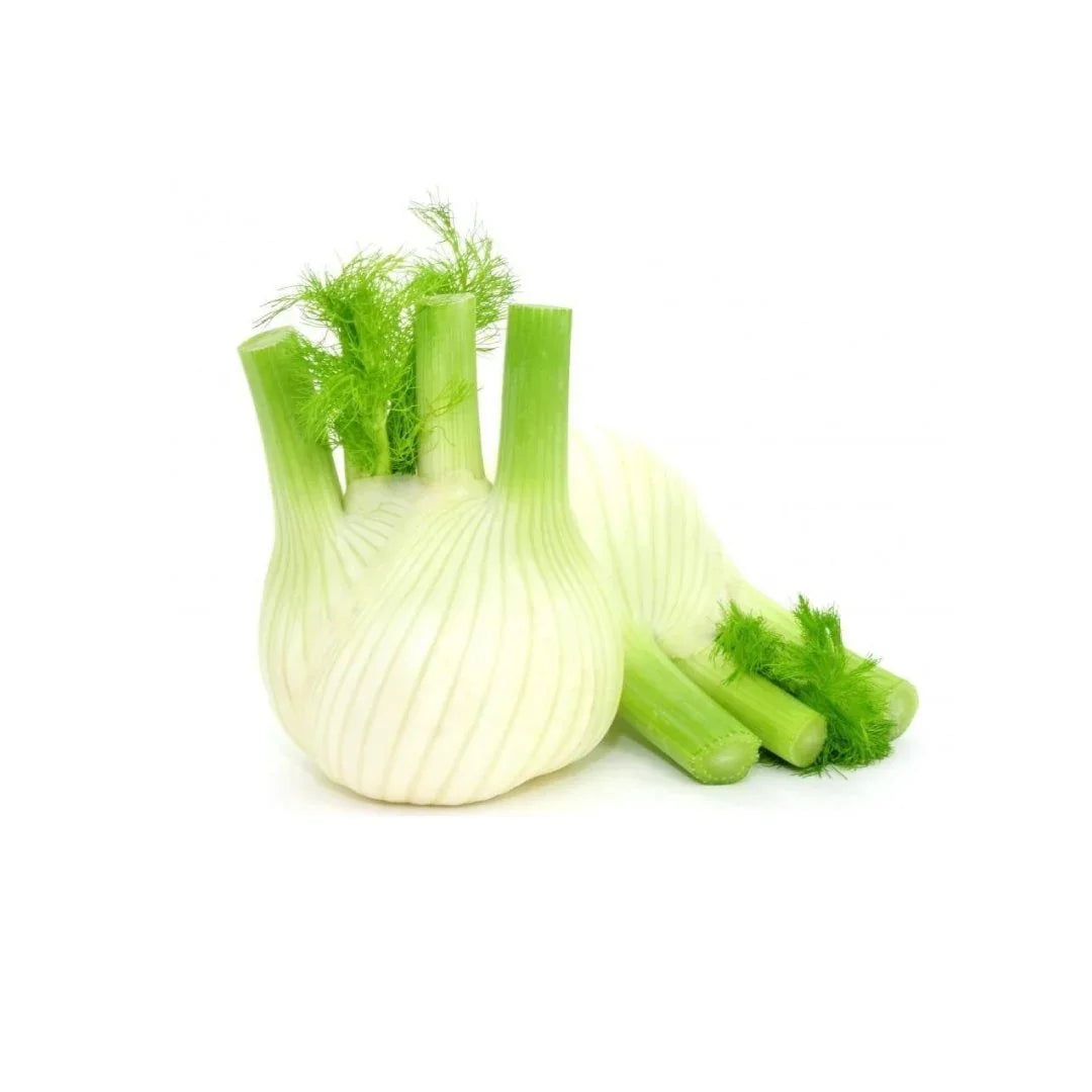 Baby Fennel 200g