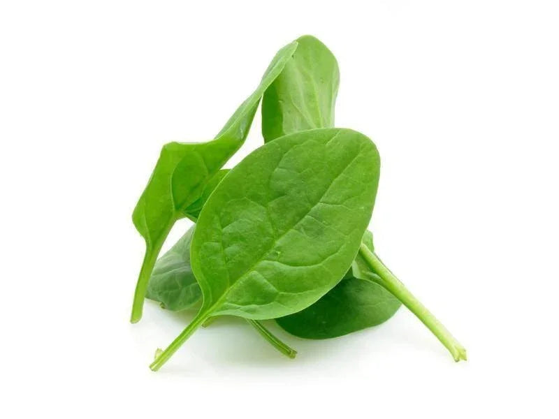 Baby Spinach 125g