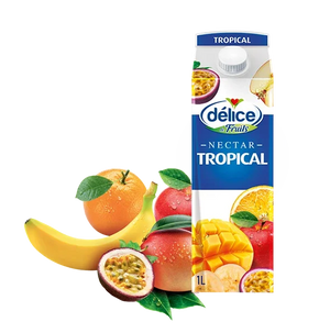 Delice Tropical Fruit Juice 1Ltr