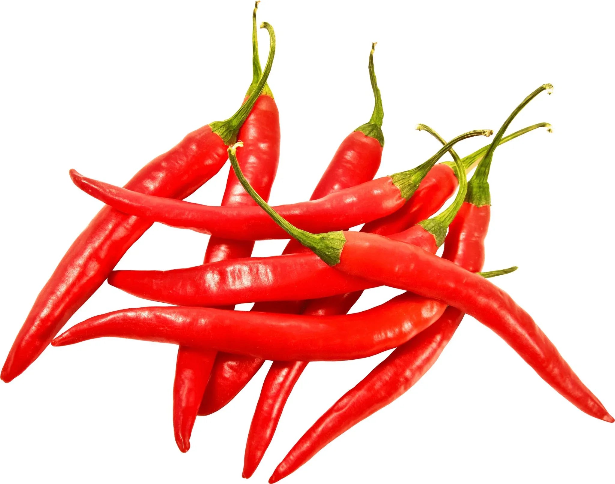 Bird Red Chilli 100g