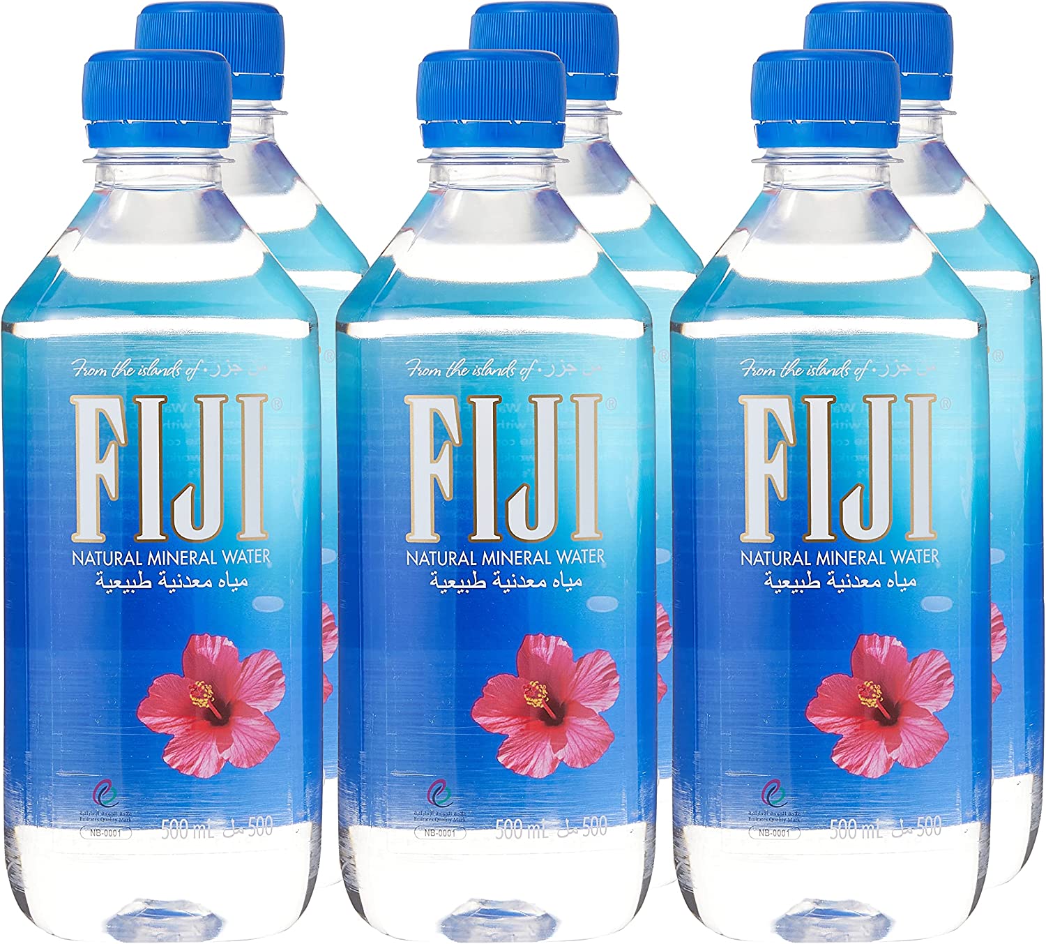 Fiji Bottled Natural Mineral Water