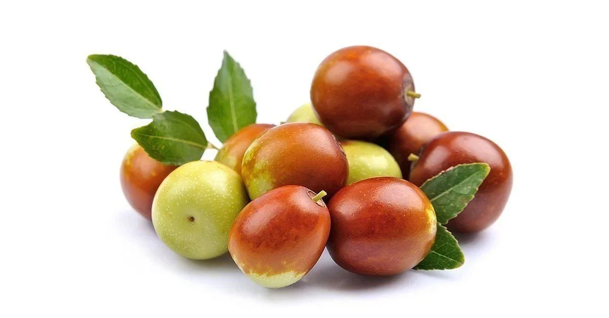 Fresh Jujube 500g