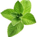 Mint Leaves 100g
