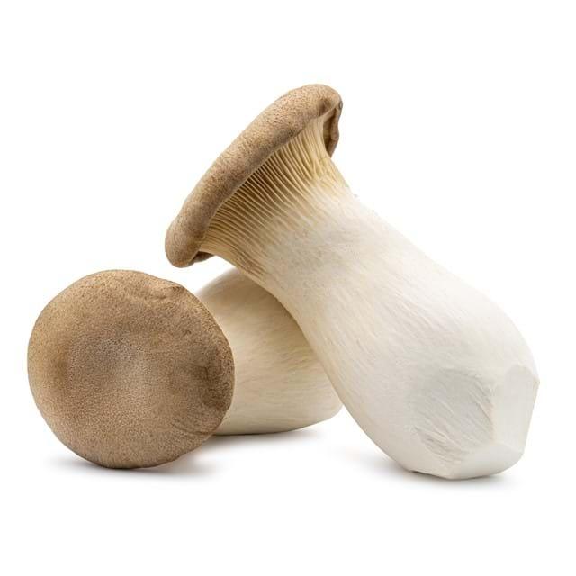 Oyster King Mushroom 200g