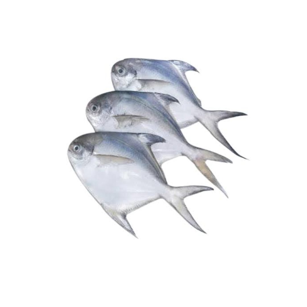 Silver Pomfret / Avoli / Zubaidi LARGE Size Whole Cleaned 500g