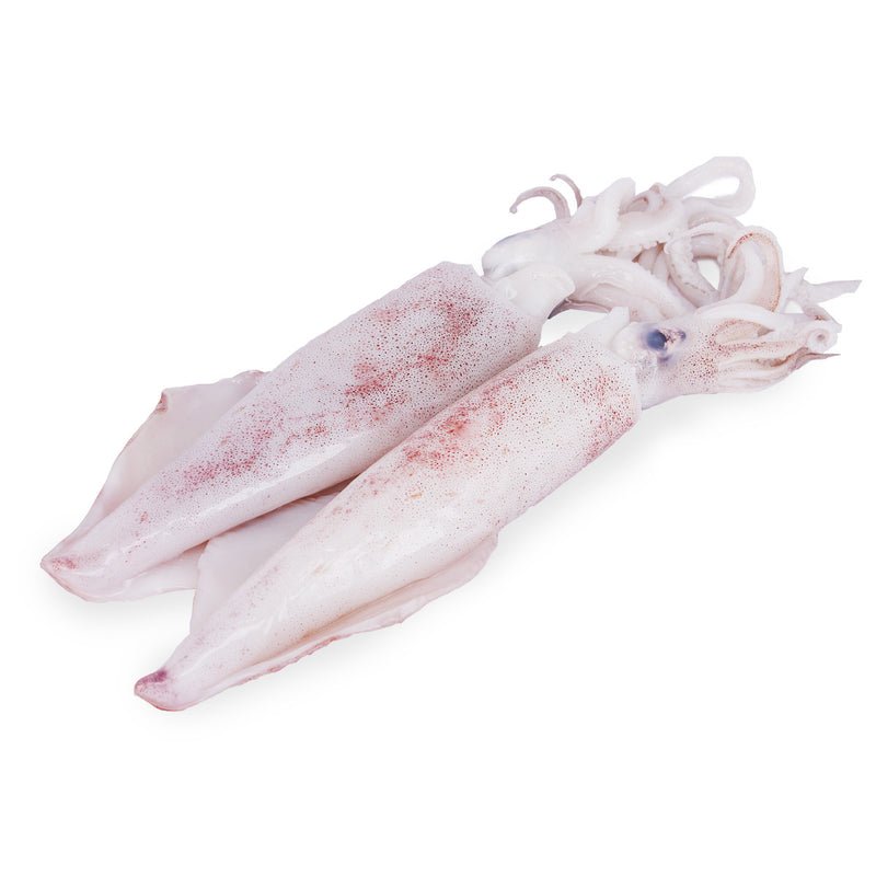 Squid / Koonthal Cleaned