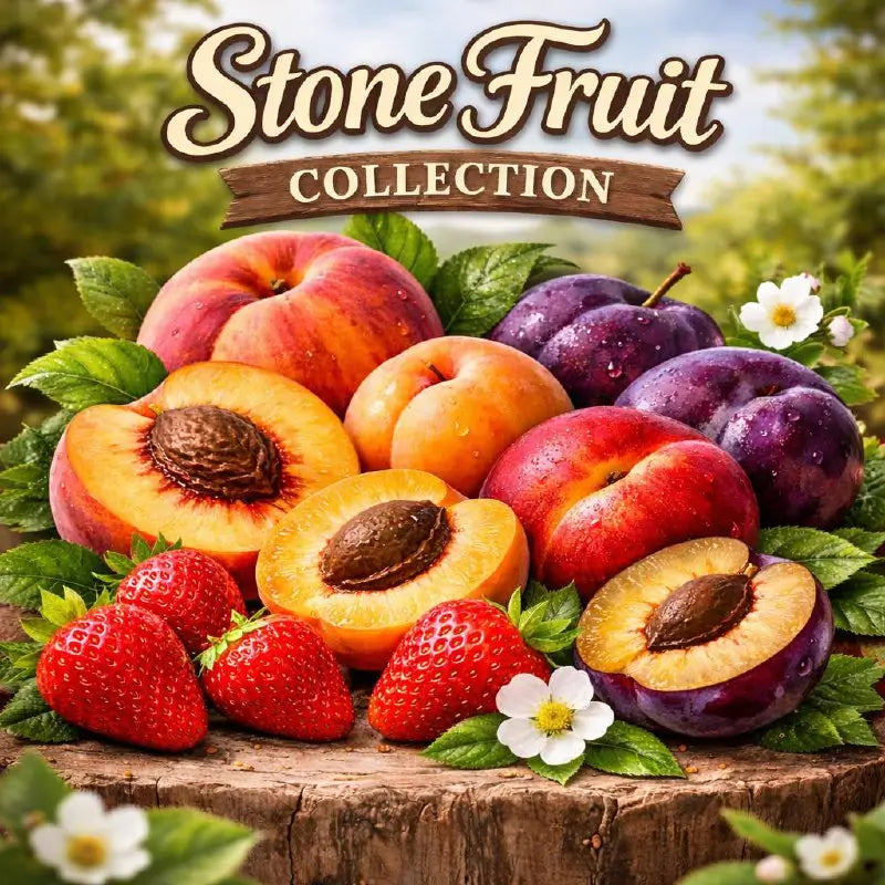 Stone fruit collection with peaches, plums, and strawberries