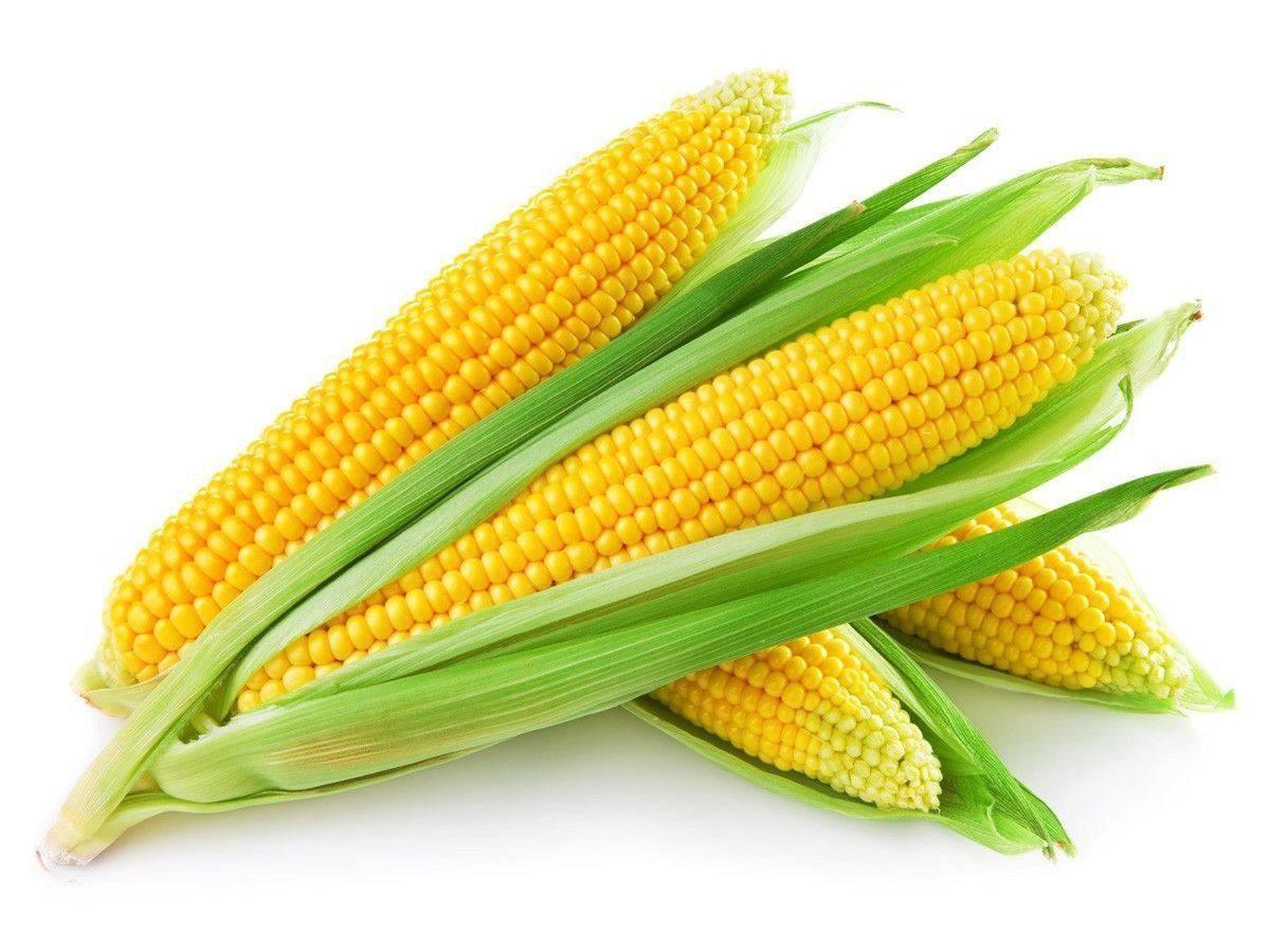 Sweet corn 600g | Welaza