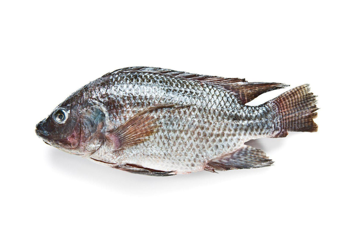 Tilapia / Boulty - Whole cleaned