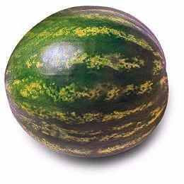 Watermelon 6-7kg