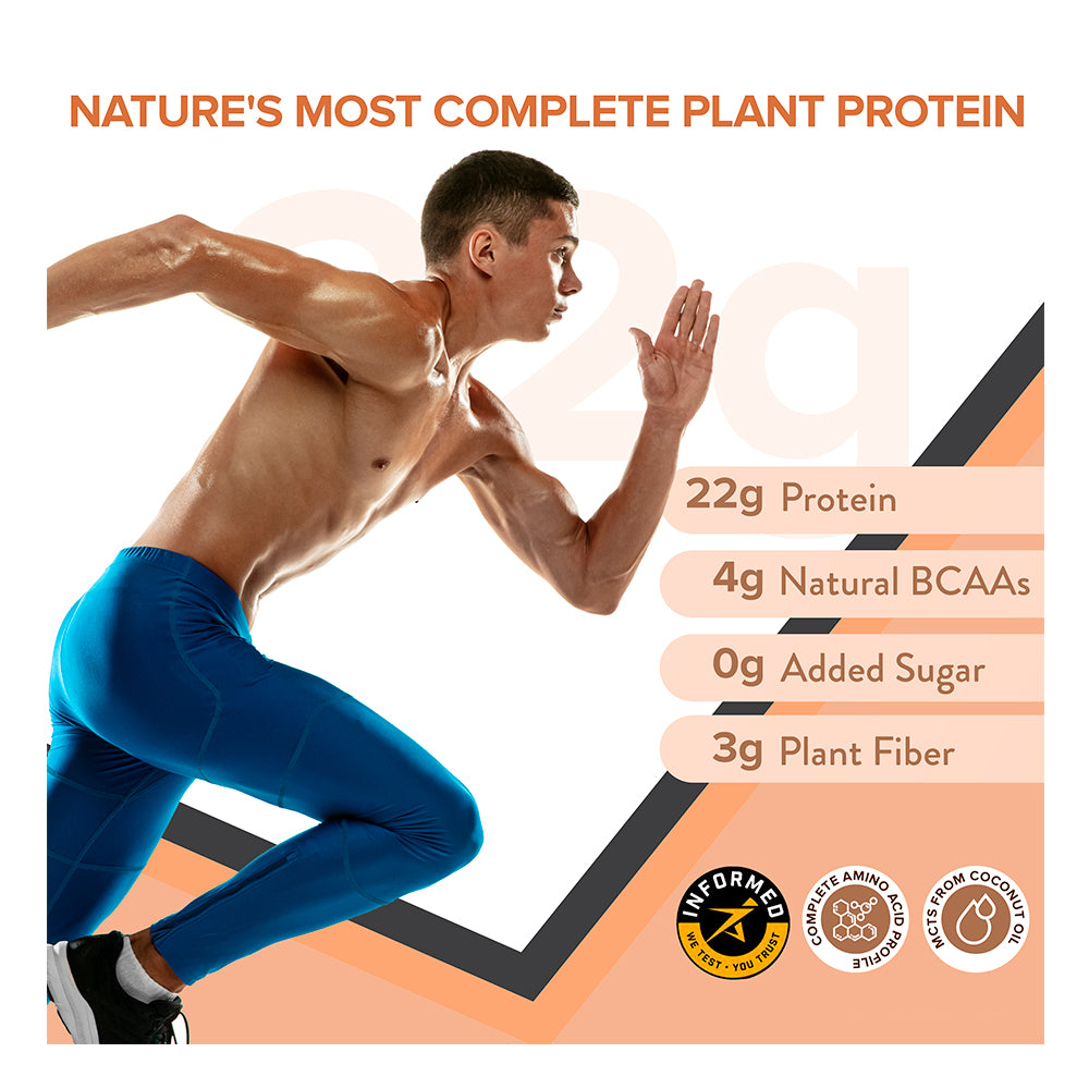 Wellbeing Nutrition - Superfood Plant Protein for Muscle Building & Recovery