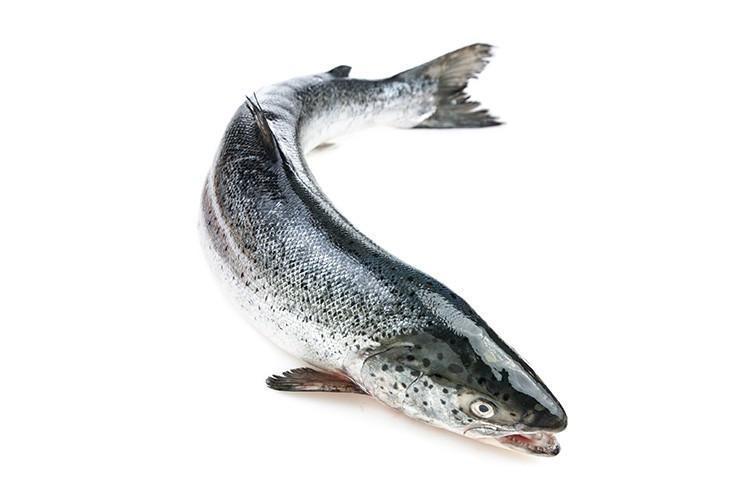 Whole Farm-Raised Norway Salmon Cleaned 2Kg